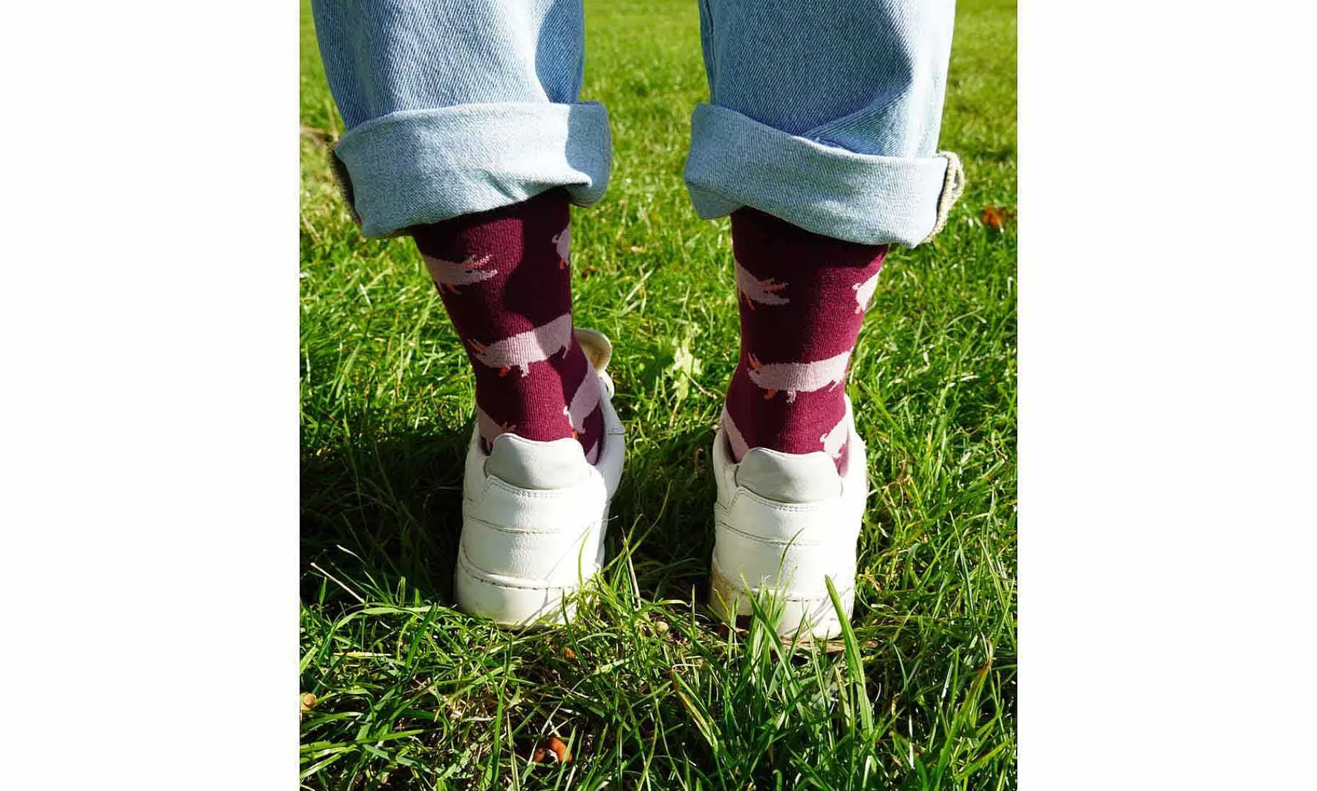 Accessoires Kabak Animal Friends Socks Bundle