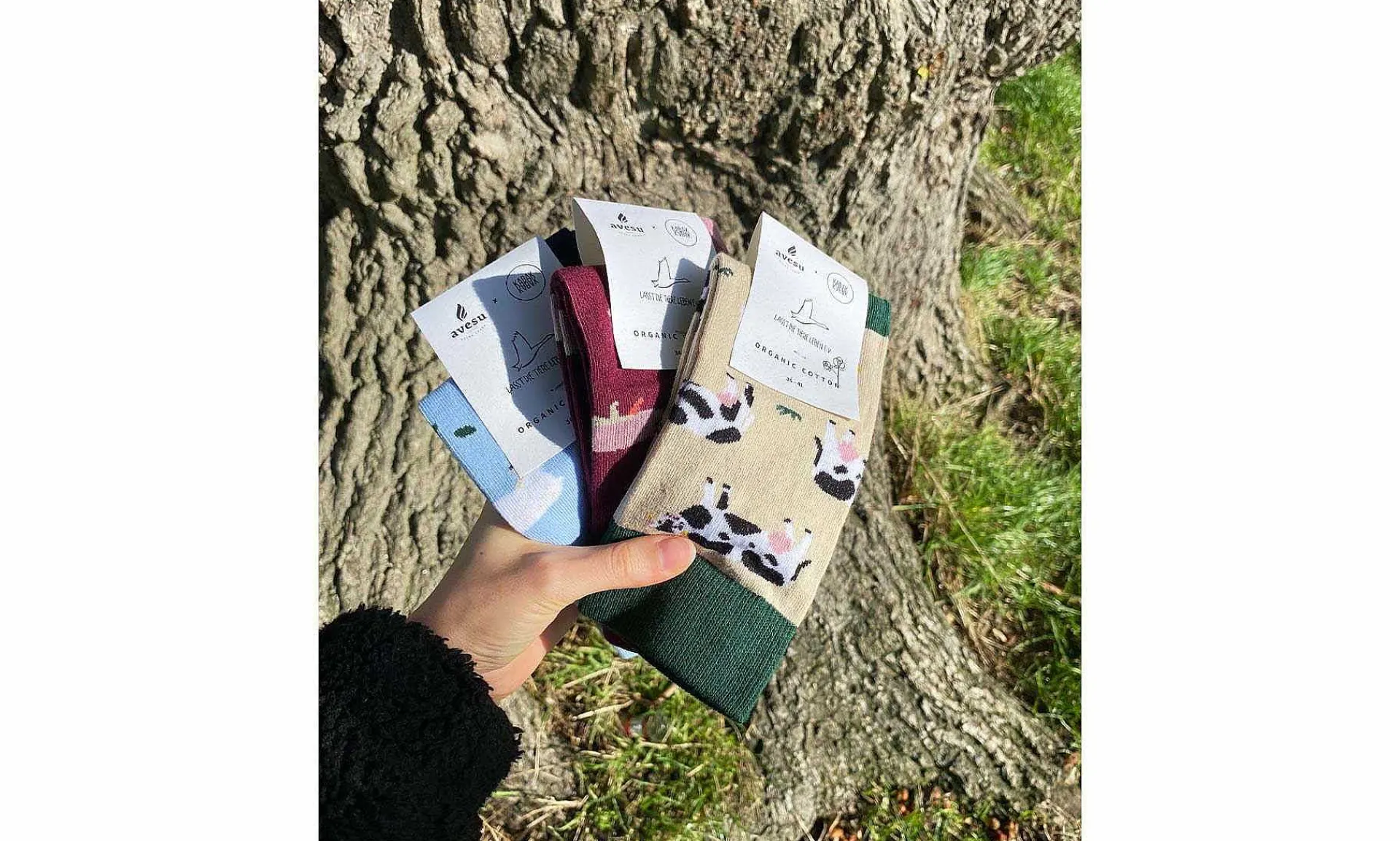 Accessoires Kabak Animal Friends Socks Bundle
