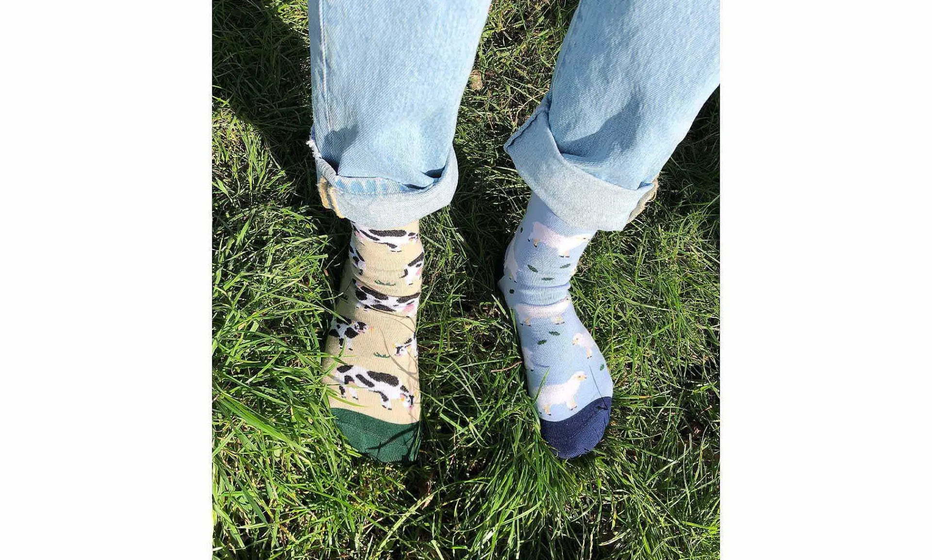 Accessoires Kabak Animal Friends Socks Bundle