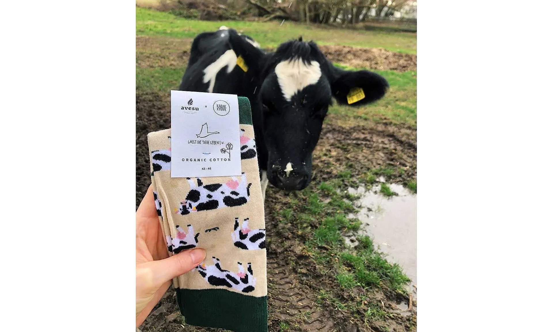 Accessoires Kabak Animal Friends Socks Cows
