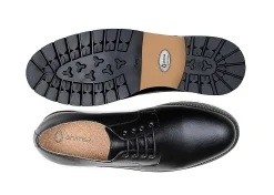 Herren Ahimsa David Black