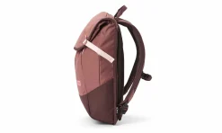 Accessoires Aevor Daypack Raw Rubydaypack Raw Ruby