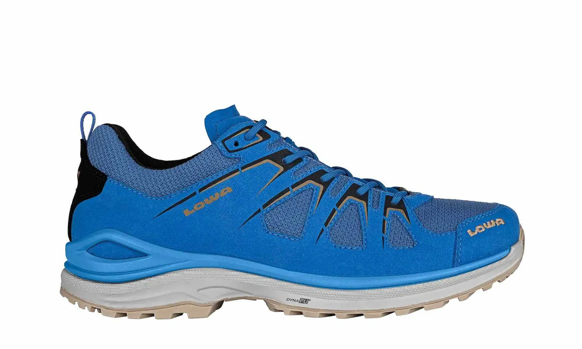 Herren LOWA Innox Evo Gtx Lo Royal/Black