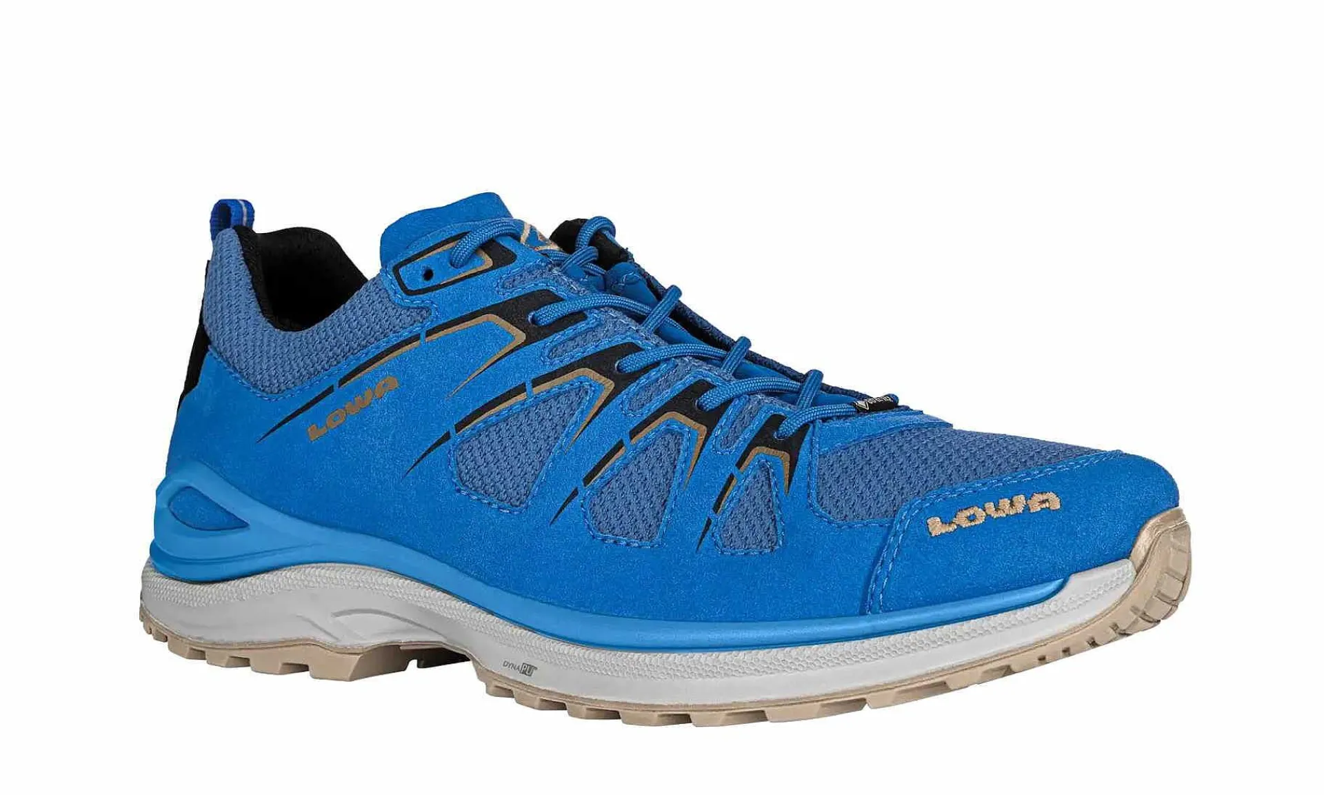 Herren LOWA Innox Evo Gtx Lo Royal/Black
