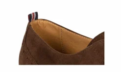 Herren Gentleberg Kobus - Wingtip Derby