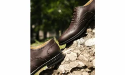 Damen Solari Milano Oxford Brogue Woman Brown