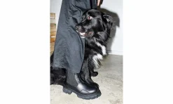 Damen Viron Paradigm Black Apple