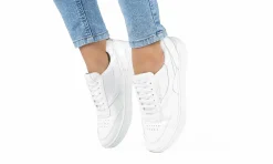 Damen Beflamboyant Ux-68 Classic White